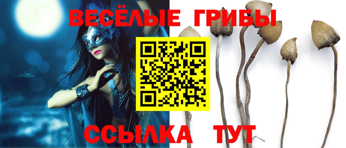 Балтийск  Галлюциногенные грибы прущие грибы  Вход с VPN  Псилоцибиновые грибы Magic Shrooms 