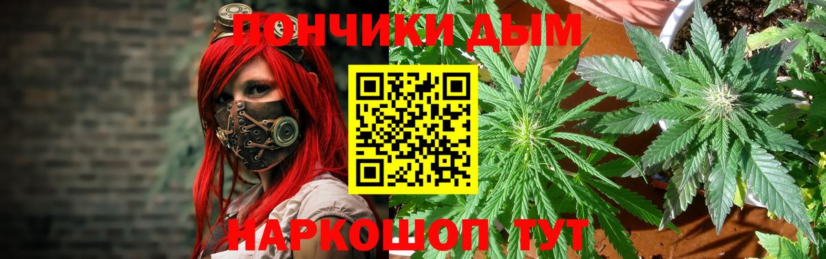 Марихуана Bruce Banner Балтийск